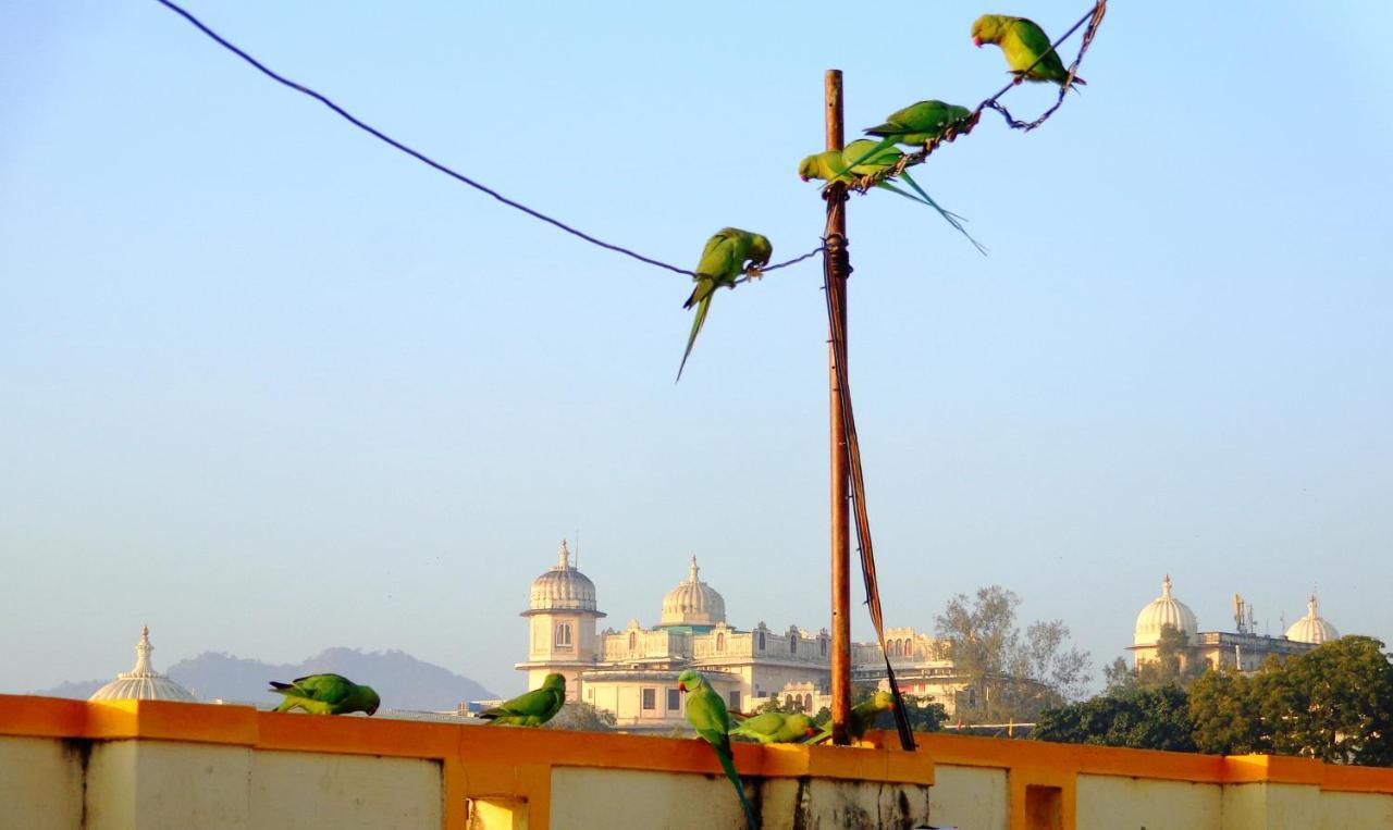 Mohan Villa Guest House Udaipur Extérieur photo
